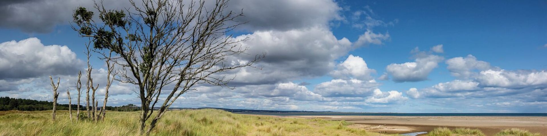 Tentsmuir forest and beach on a sunny morning is a great place to escape to for a walk or a bike ride.