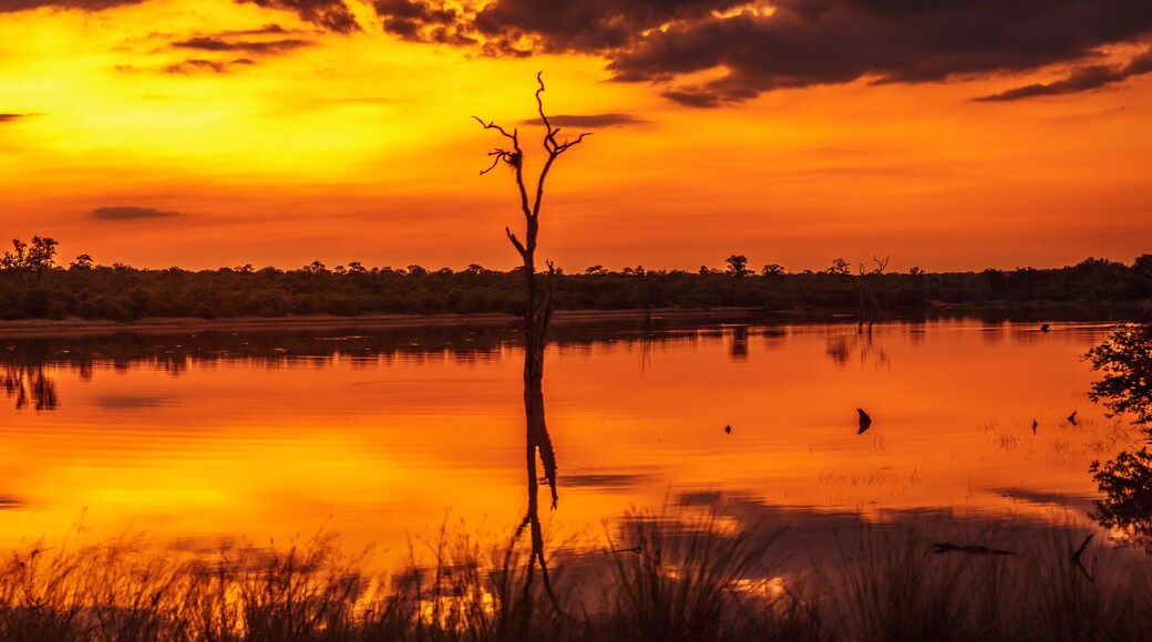 غروبليرسدال