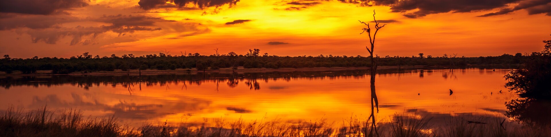 Un atardecer sobre un lago tranquilo, reflejando el cielo, rodeado de árboles y un horizonte despejado.
