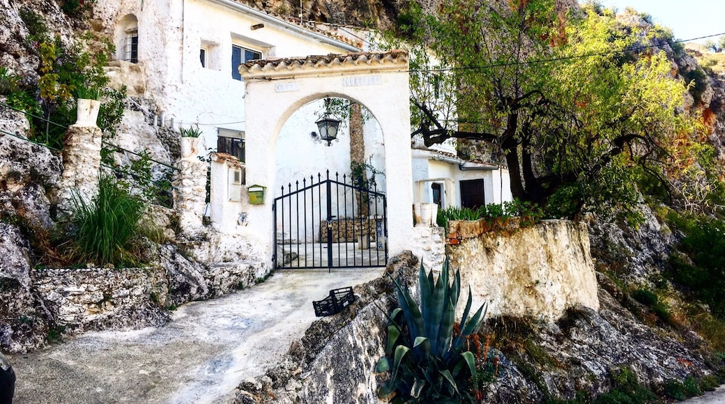 LETUR..... esta situado a unos 720 m. sobre el nivel del mar, con una superficie de 262,42 Km2
es un municipio español situado al sureste de la península ibérica, en la provincia de Albacete > Del 14 al 20 de agosto se celebran la Fiestas Patronales en honor a la Virgen de la Asunción
El agua siempre presente en Letur, para regar, beber, lavar y refrescarse.
#verano2018 #letur #albacete #cuevaguerrero