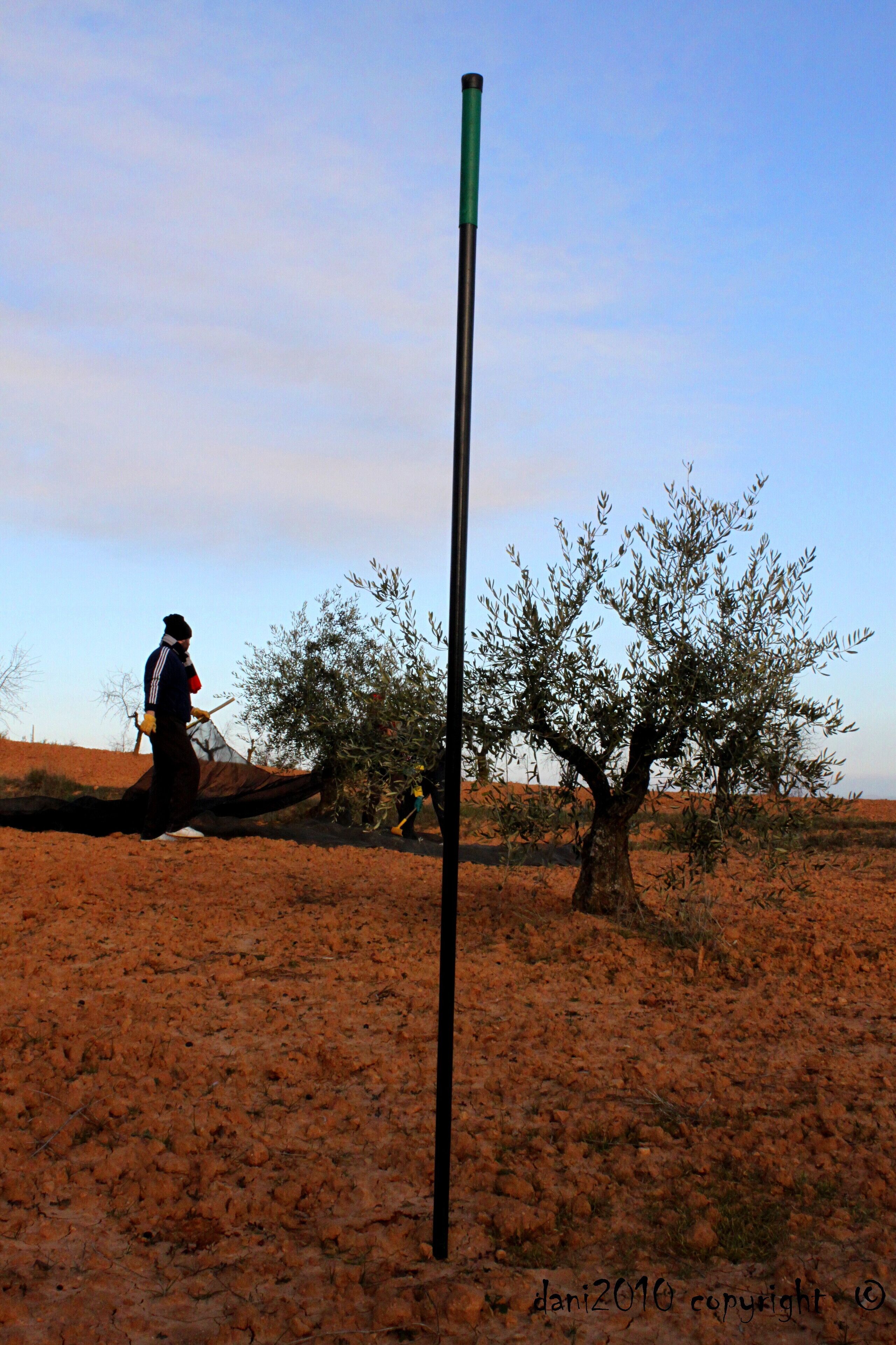 Recuerda: Siempre hay hueco para uno más en este olivar...