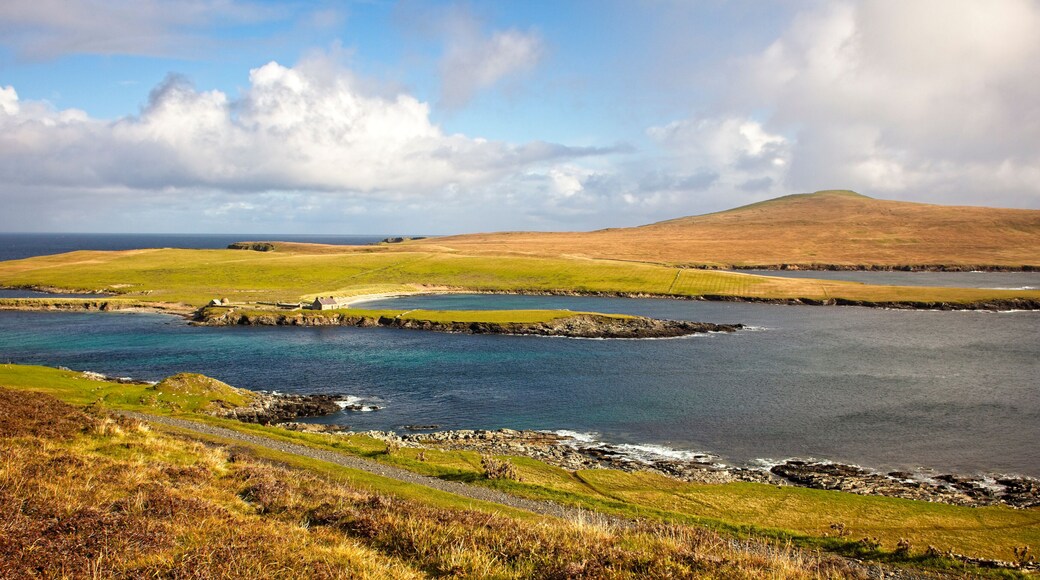 The uninhabited island of Noss, viewed from Bressay, Shetland, Scotland, UK.