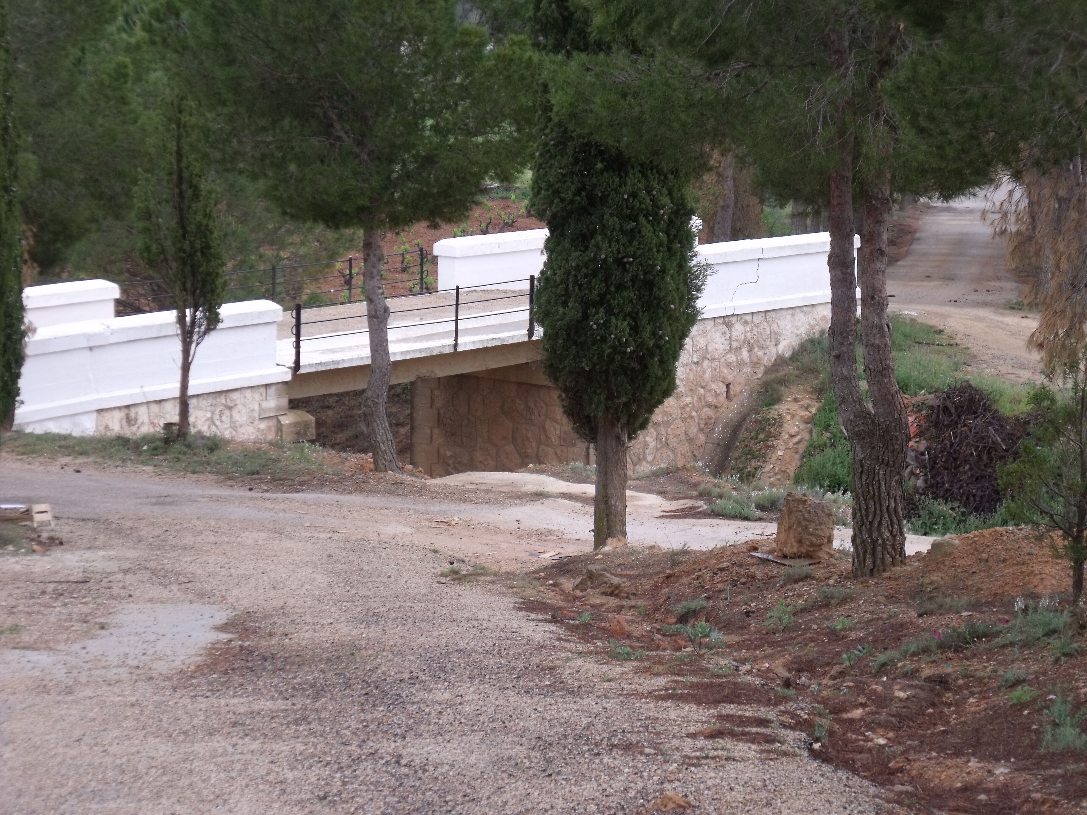 Vistas del cementerio de Fuentealbilla