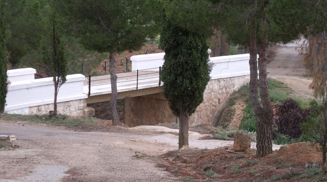 Vistas del cementerio de Fuentealbilla