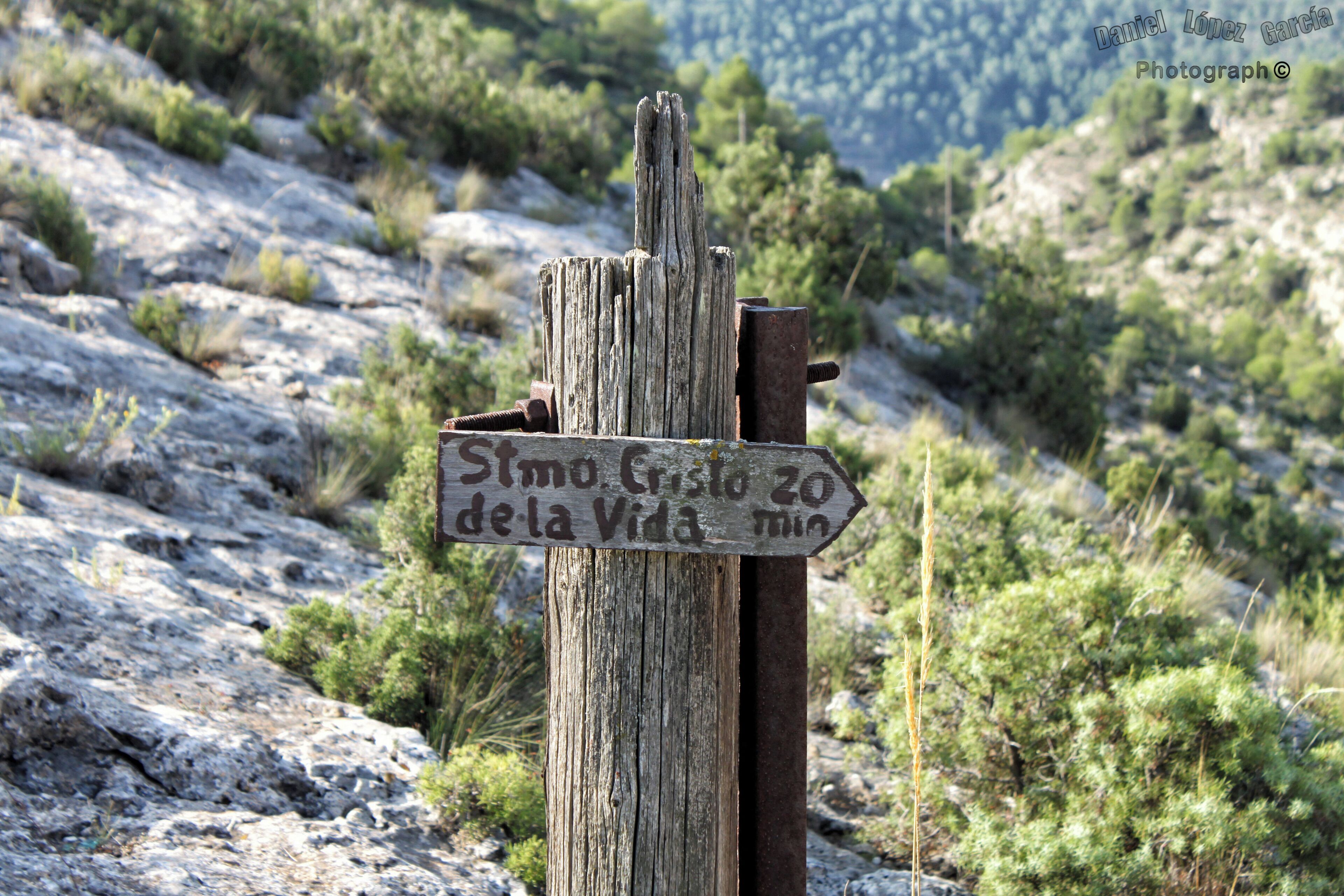 «Santísimo Cristo de la Vida a 20 minutos a pie»