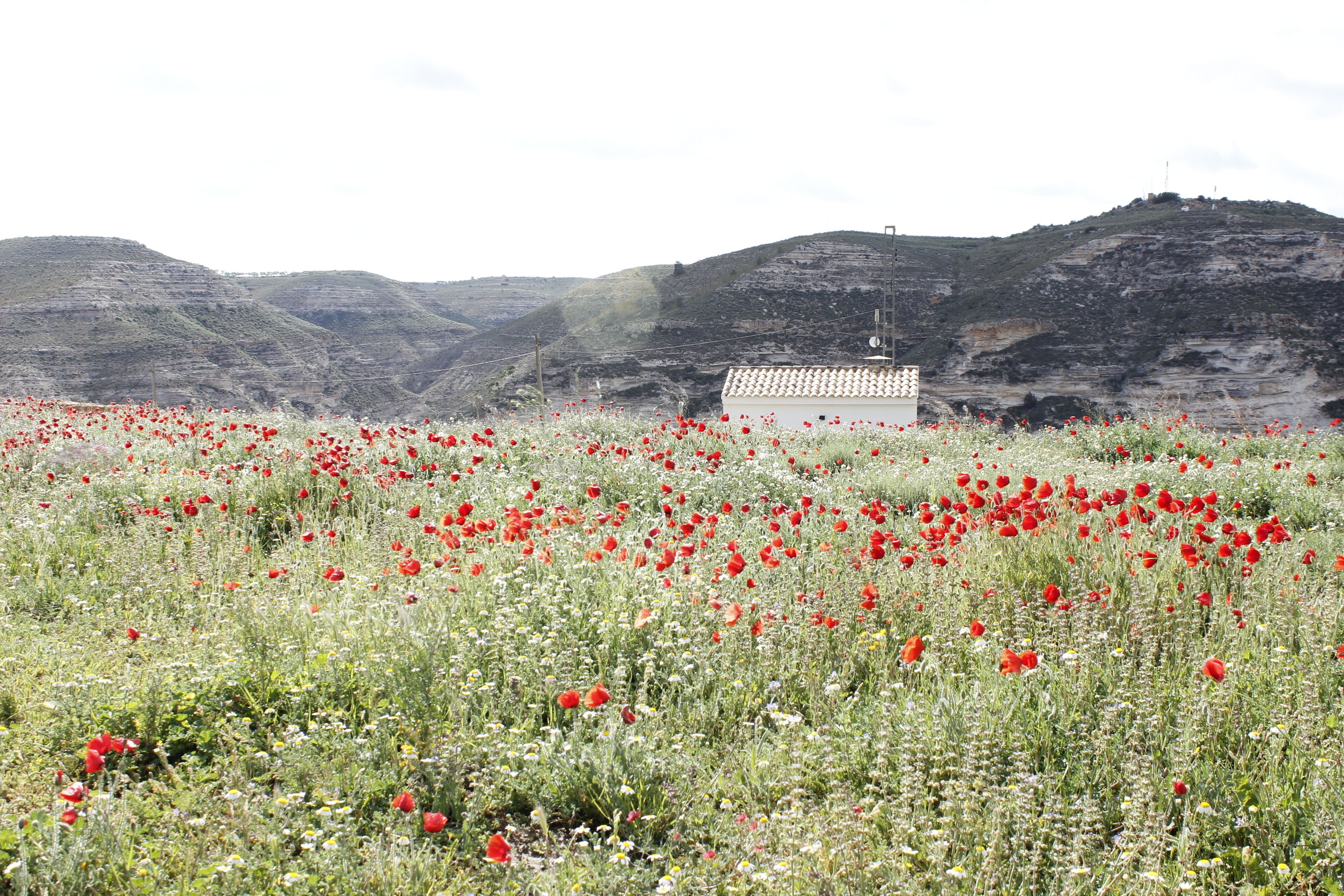 Repetidor de telecomunicaciones