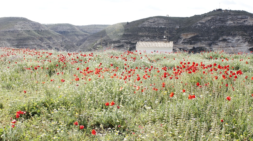 Repetidor de telecomunicaciones