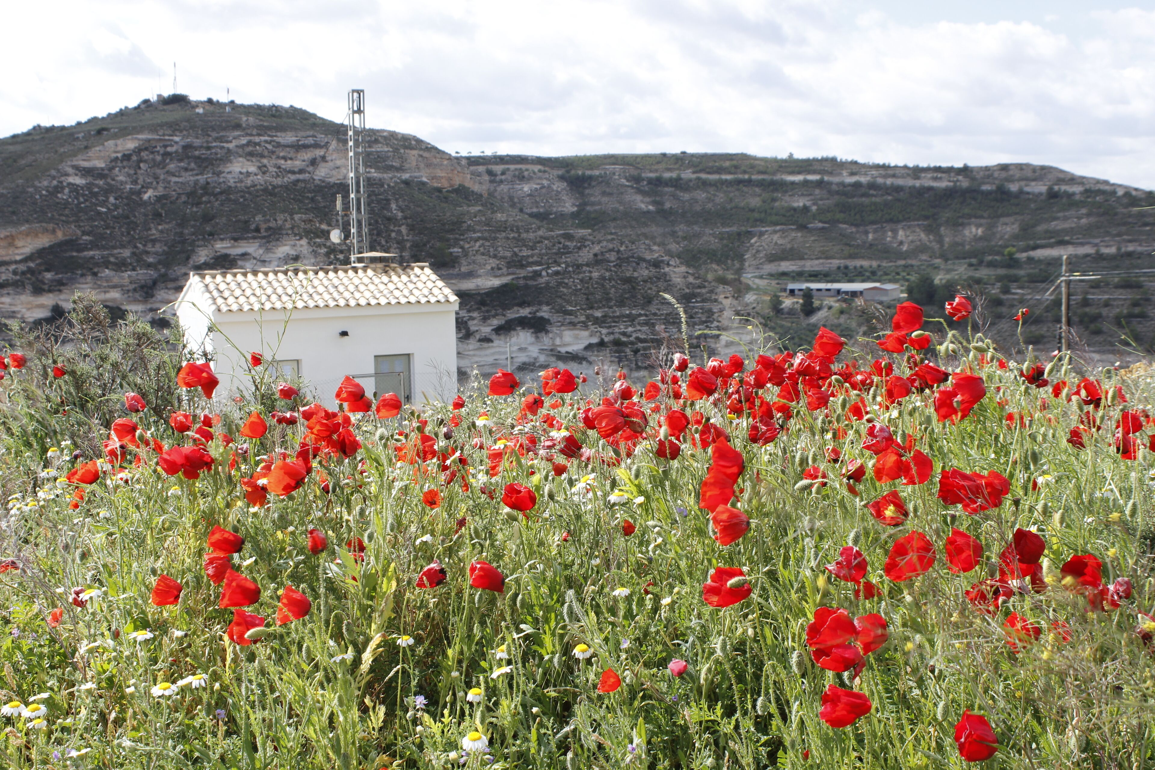 Repetidor de telecomunicaciones