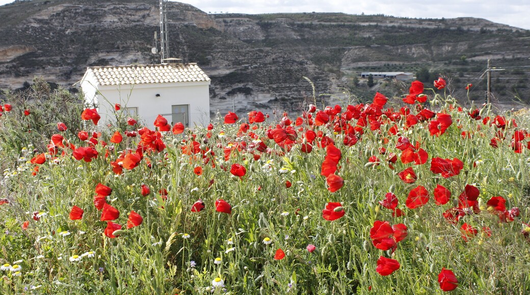 Repetidor de telecomunicaciones