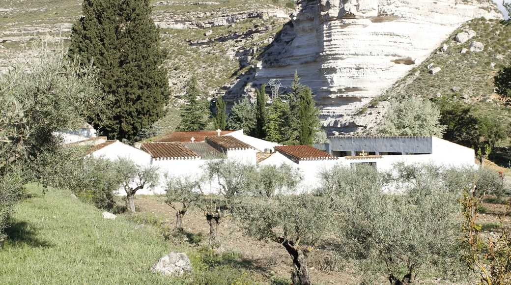 Cementerio La Recueja