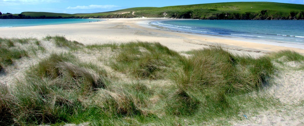 A beach with sand dunes and grassy areas.