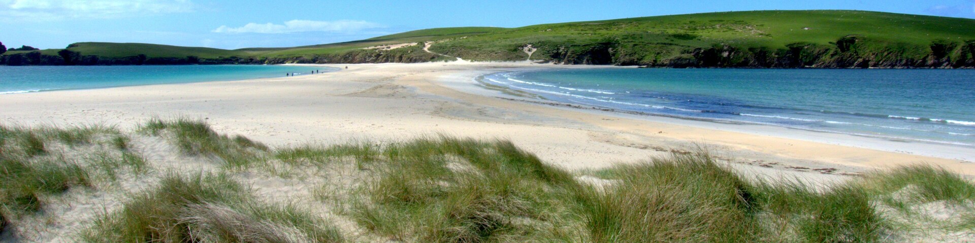 Una playa con dunas de arena y zonas con hierba.