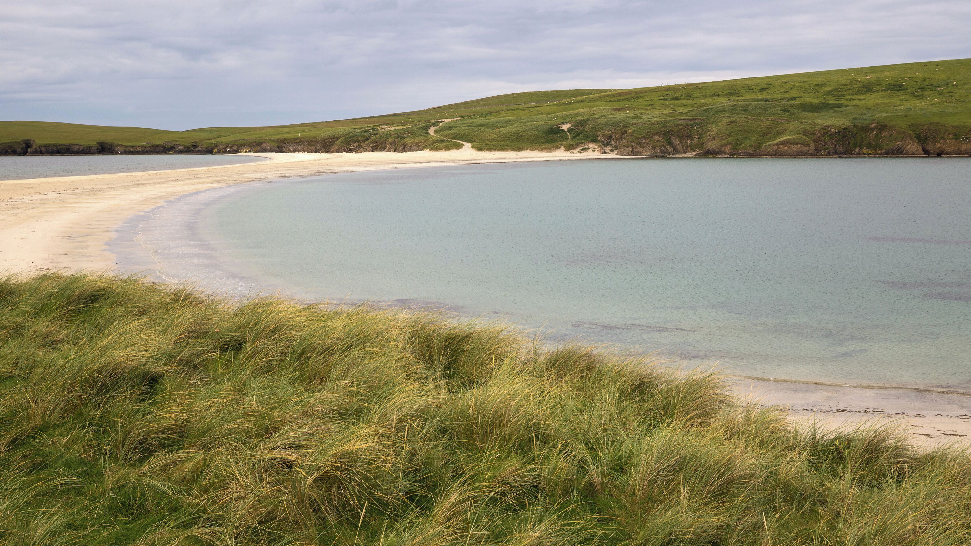 A coastal landscape with a sandy beach, grassy dunes, and a calm body of water.