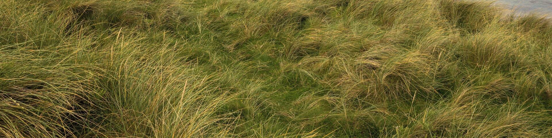 Tombolo linking St Ninian's Isle to the Shetland Mainland