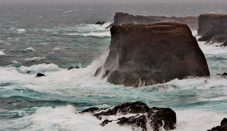 Moo Stack IMG_1528