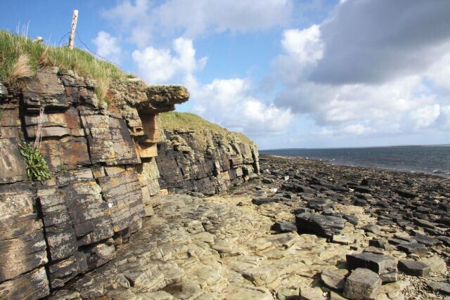 South coast of Wyre In the Bay of Bergeben, looking eastwards along the coastline towards Head of Geo. The low cliffs are slowly fragmenting, creating a rocky foreshore.