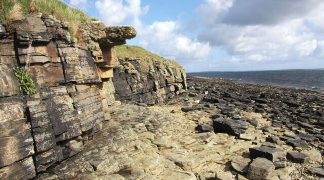 South coast of Wyre In the Bay of Bergeben, looking eastwards along the coastline towards Head of Geo. The low cliffs are slowly fragmenting, creating a rocky foreshore.