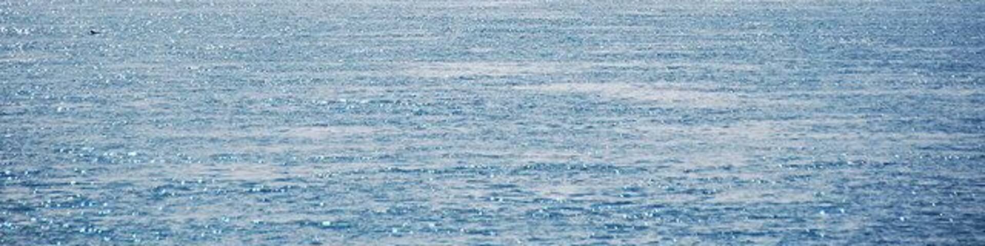 A walker on The Taing This was taken from at least a half-mile away. Amazing what modern lenses can do.