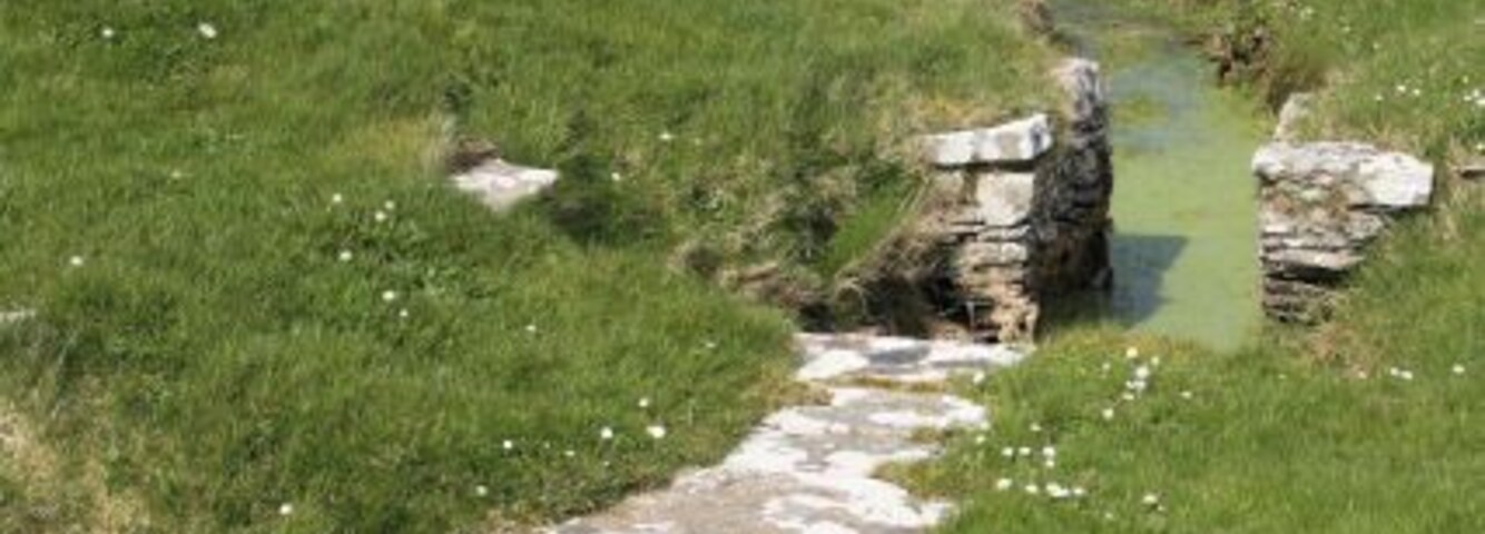 Ditch around Cubbie Roo's Castle A narrow water-filled ditch surrounds the castle mound.