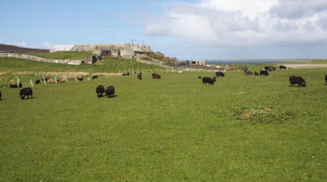 The Bu, Wyre These farm buildings known as 'The Bu' are viewed here from St Mary's Chapel.