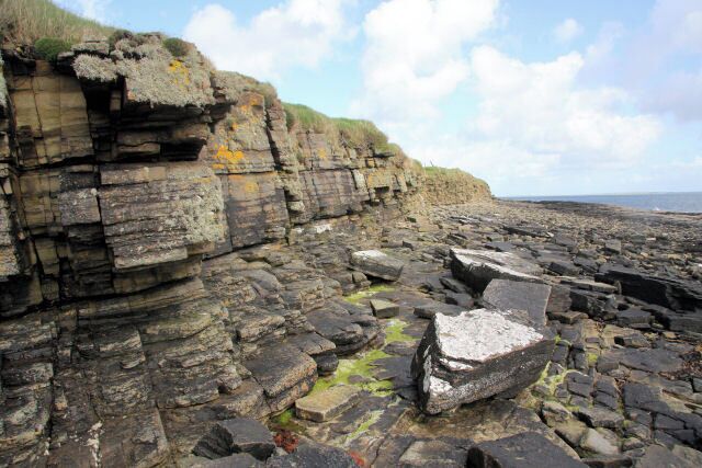 Head of Geo, Wyre The rocky coastline on Wyre's south shore, where a low cliff is eroding, causing large chunks of rock to be deposited on the beach.