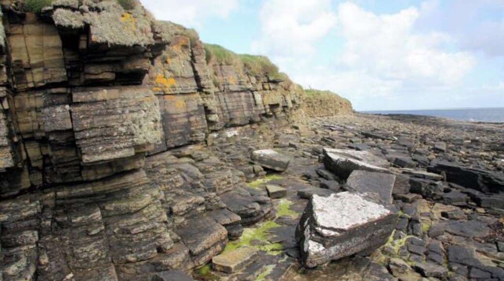 Head of Geo, Wyre The rocky coastline on Wyre's south shore, where a low cliff is eroding, causing large chunks of rock to be deposited on the beach.