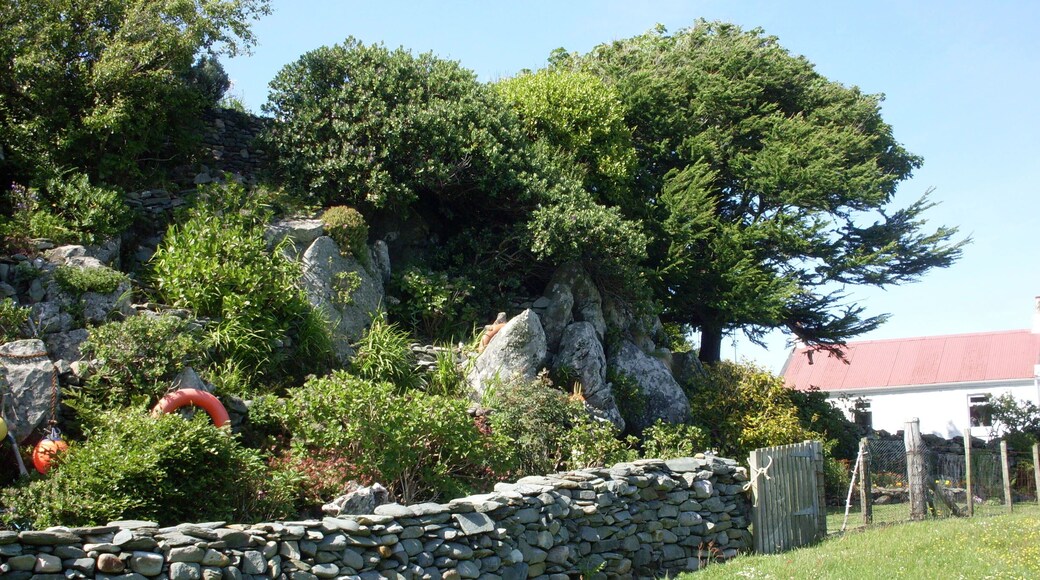 Garden at Cuddieport A charming "rock" garden wrested from the hill behind the cottage, utilising natural features and tons of stone.