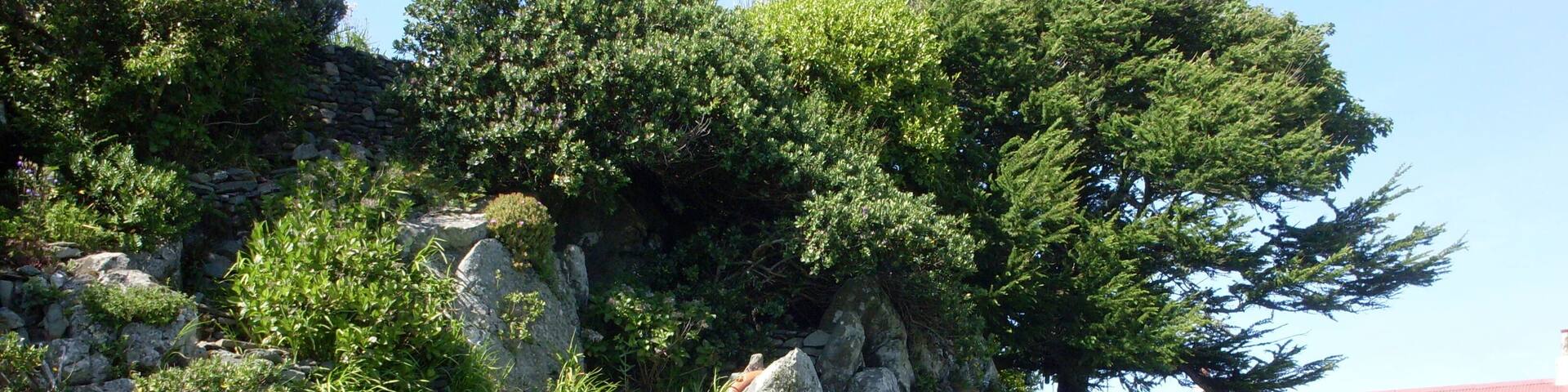Garden at Cuddieport A charming "rock" garden wrested from the hill behind the cottage, utilising natural features and tons of stone.