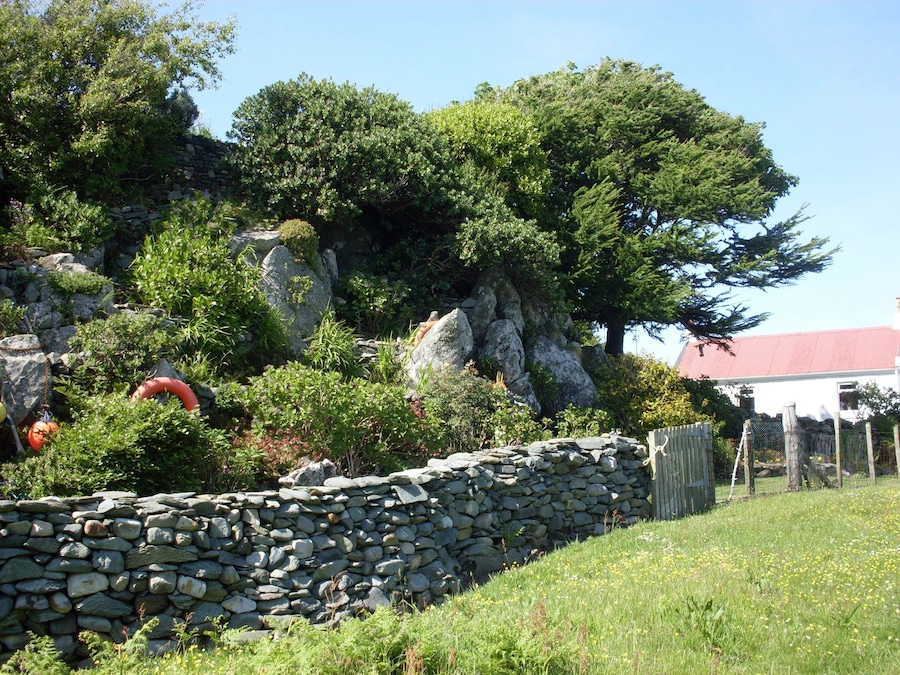 Garden at Cuddieport A charming "rock" garden wrested from the hill behind the cottage, utilising natural features and tons of stone.