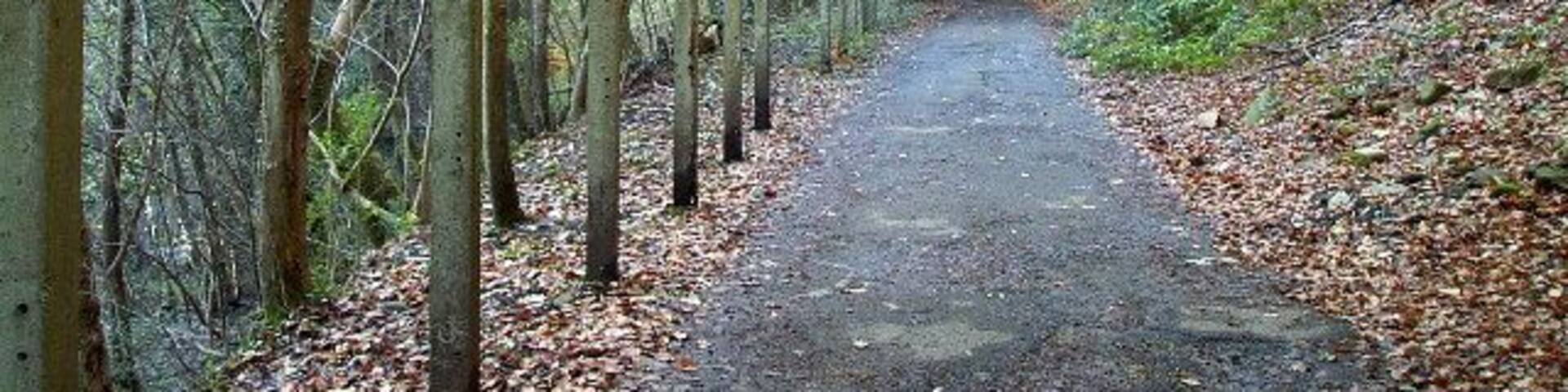Penydarren tramway at Quakers Yard Viaduct. This Tramway (now a Cycleway)was the site of the first ever journey by steam train in February 1804 when Trevithick ran from the Penydarren Ironworks to Abercynon and back, above it passes the later 1841 Taff Valley Railway