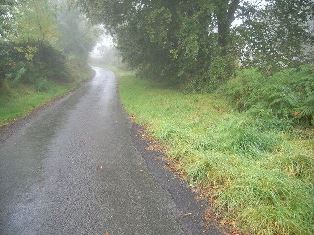 Looking up towards Cefn fforest