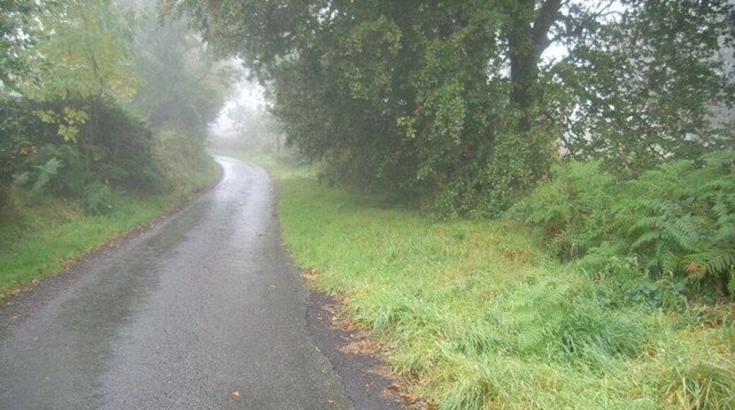 Looking up towards Cefn fforest