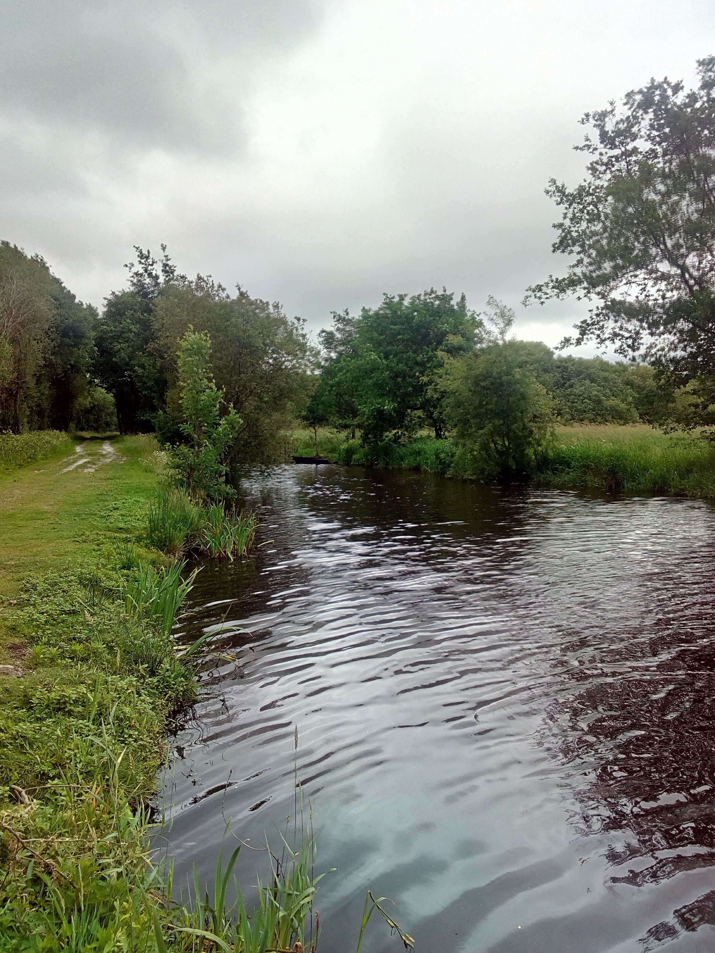 Paysage du parc naturel régional de Brière à Sainte-Reine-De-Bretagne au lieu nommé par les habitants "port de Sainte-Reine-De-Bretagne"