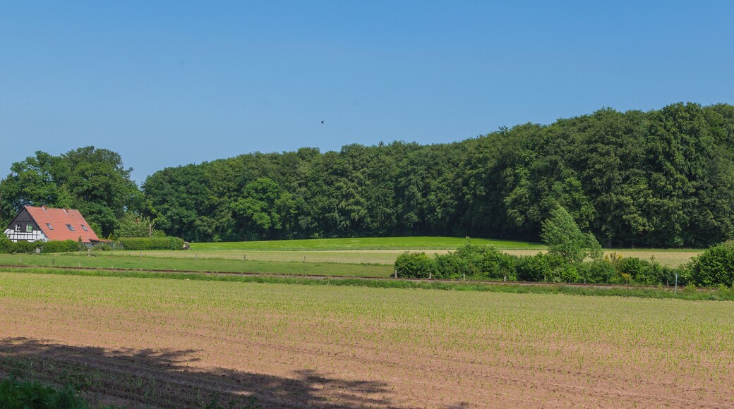 This is a picture of the protected area listed at WDPA under the ID