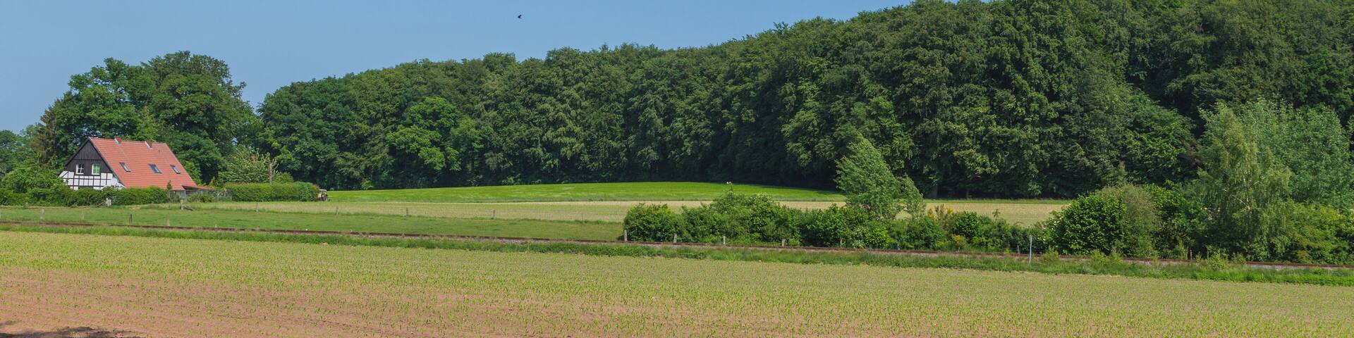 This is a picture of the protected area listed at WDPA under the ID