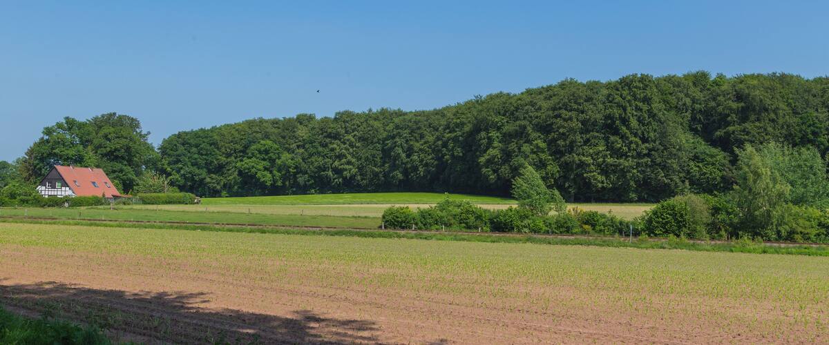 A rural landscape with a house, fields, and a forested hill.