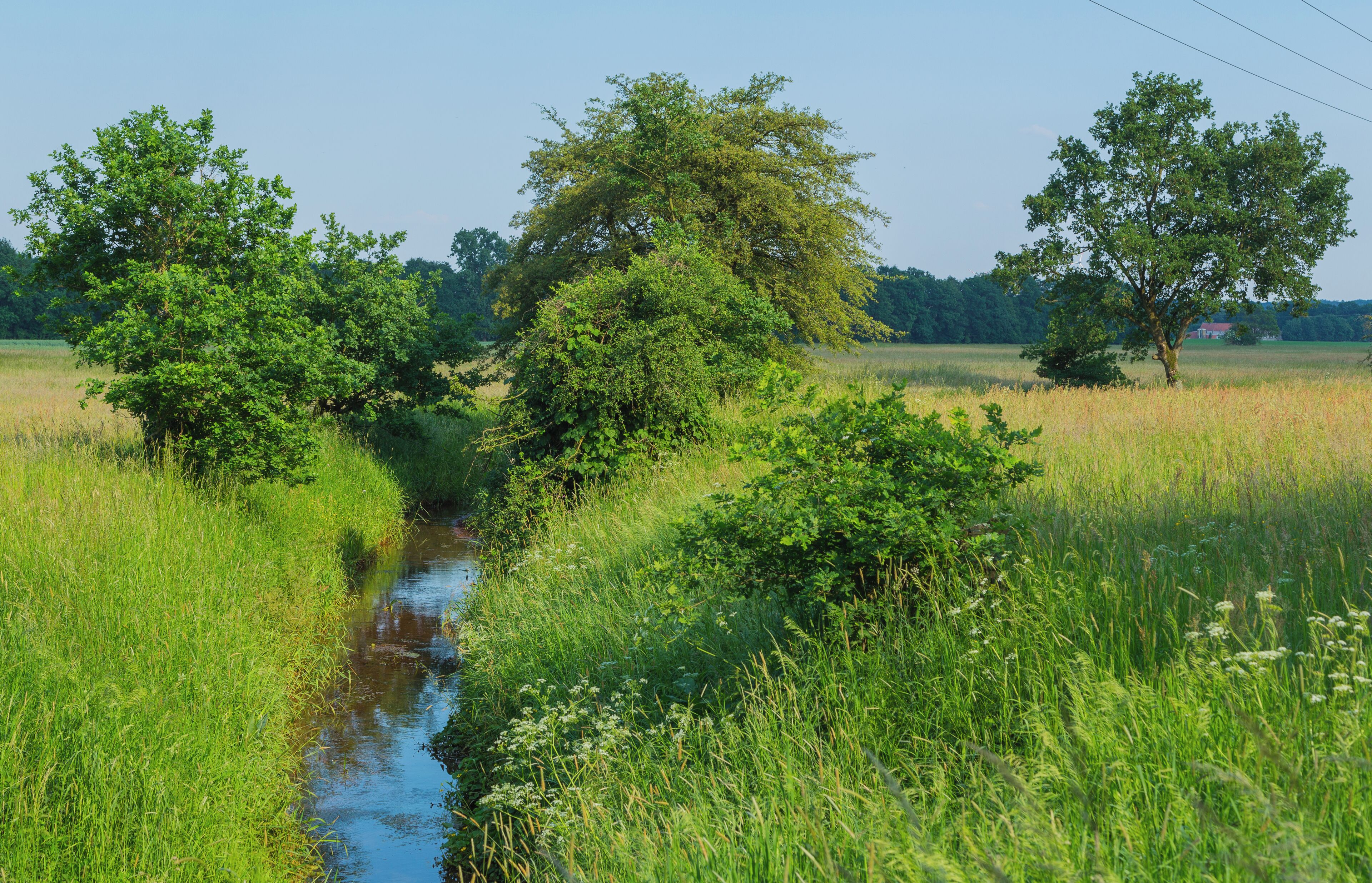 This is a picture of the protected area listed at WDPA under the ID