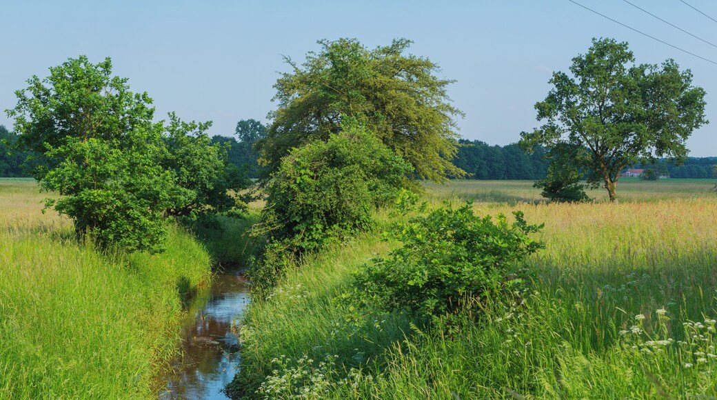 This is a picture of the protected area listed at WDPA under the ID