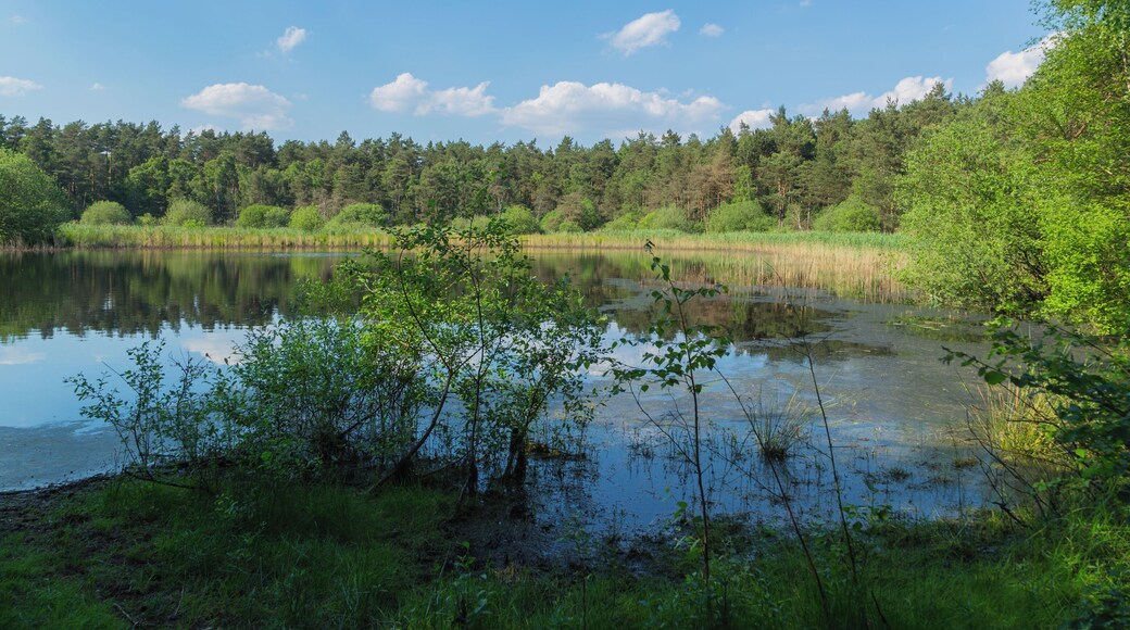 This is a picture of the protected area listed at WDPA under the ID