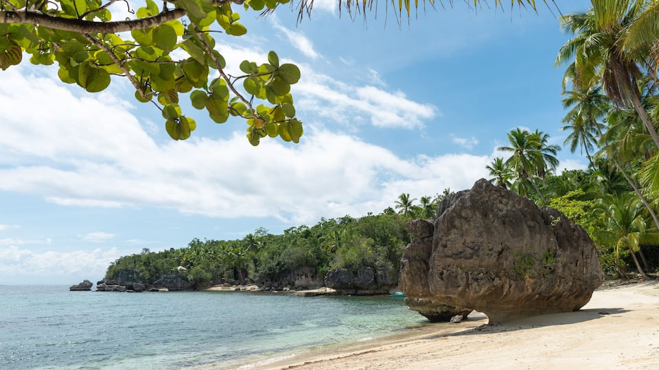 A tropical beach with clear turquoise water, a large rock formation, and palm trees.
