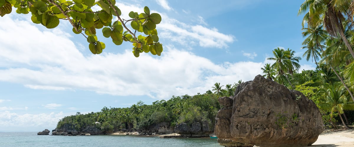A tropical beach with clear turquoise water, a large rock formation, and palm trees.