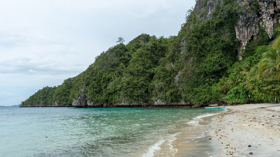 A beach with clear turquoise water, a boat on the shore, and a forested cliff.
