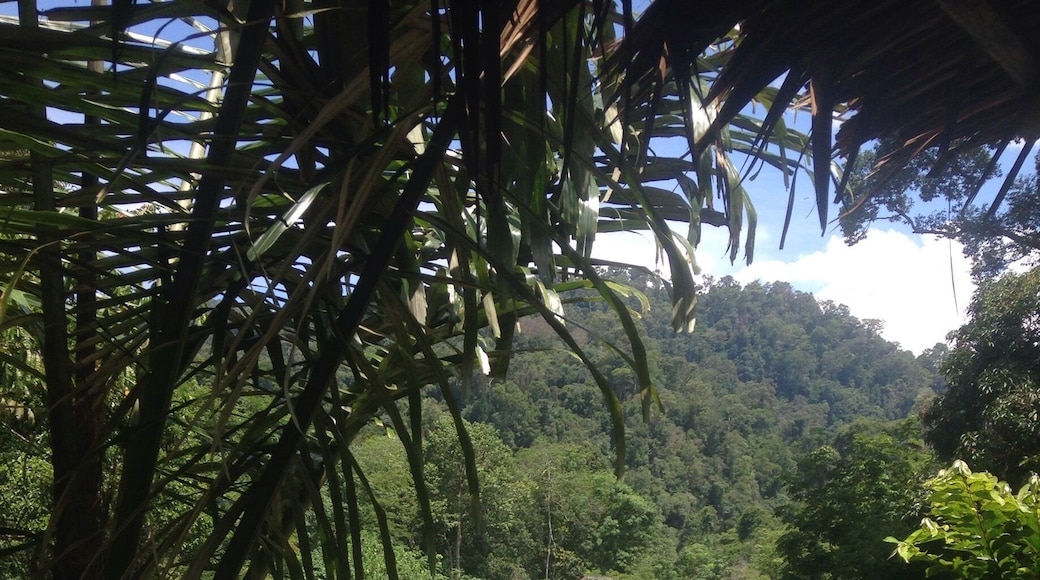 This is a nature lovers dream, with unspoiled rivers, pristine jungle, wild orangutans and hornbills aplenty. A hidden delight. Check out Batu Rong Ring!