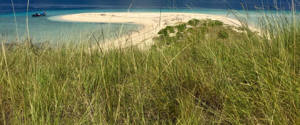 A beach with clear turquoise waters, a sandy shore, and green mountains in the background.