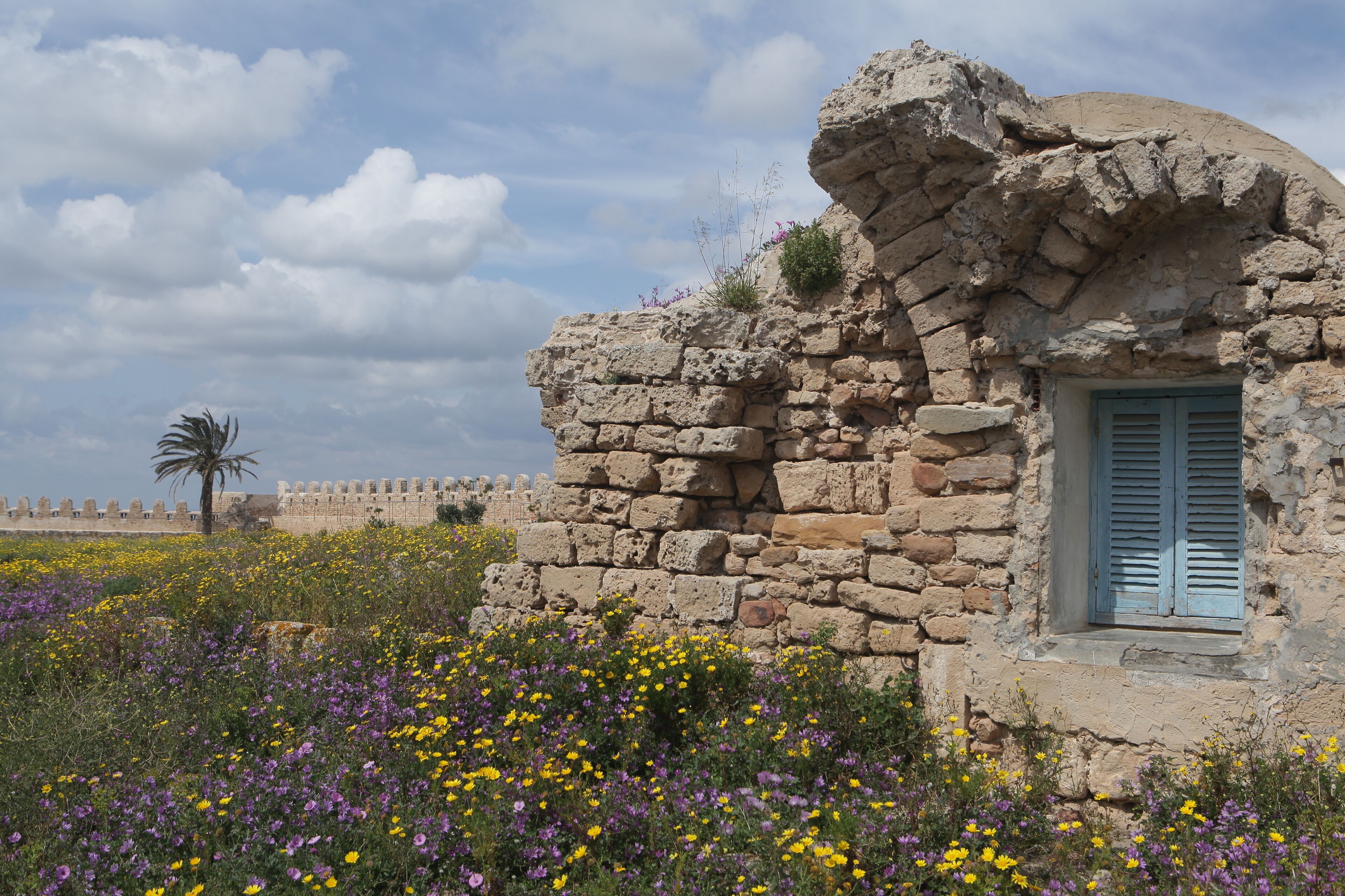 Le fort de Kelibia