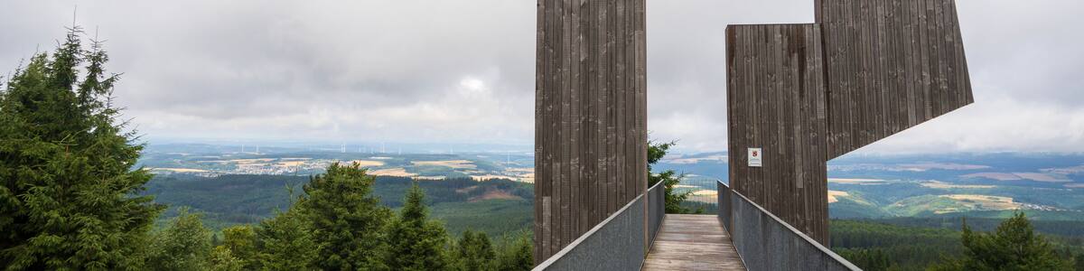 Panorama at Thalfang Peak, Forested Highlands of Hunsrück, Germany