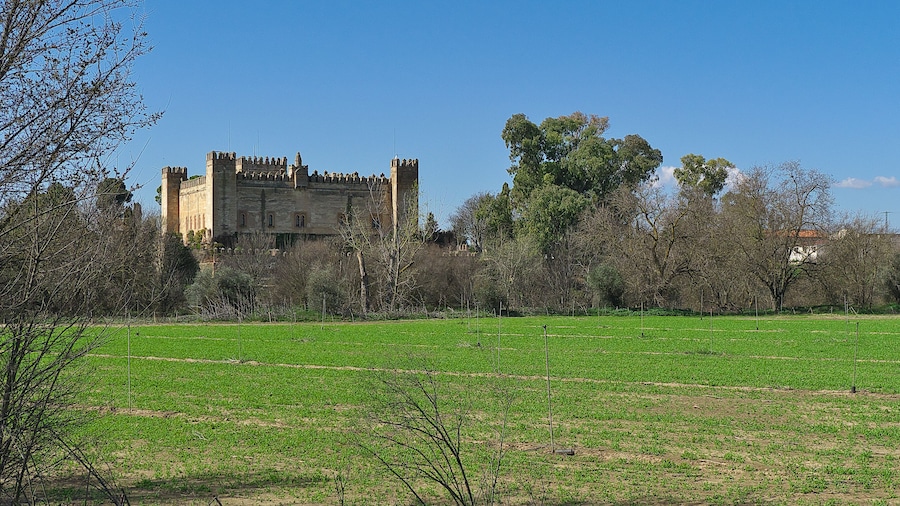 Interesante castillo de los Duques de Arión.