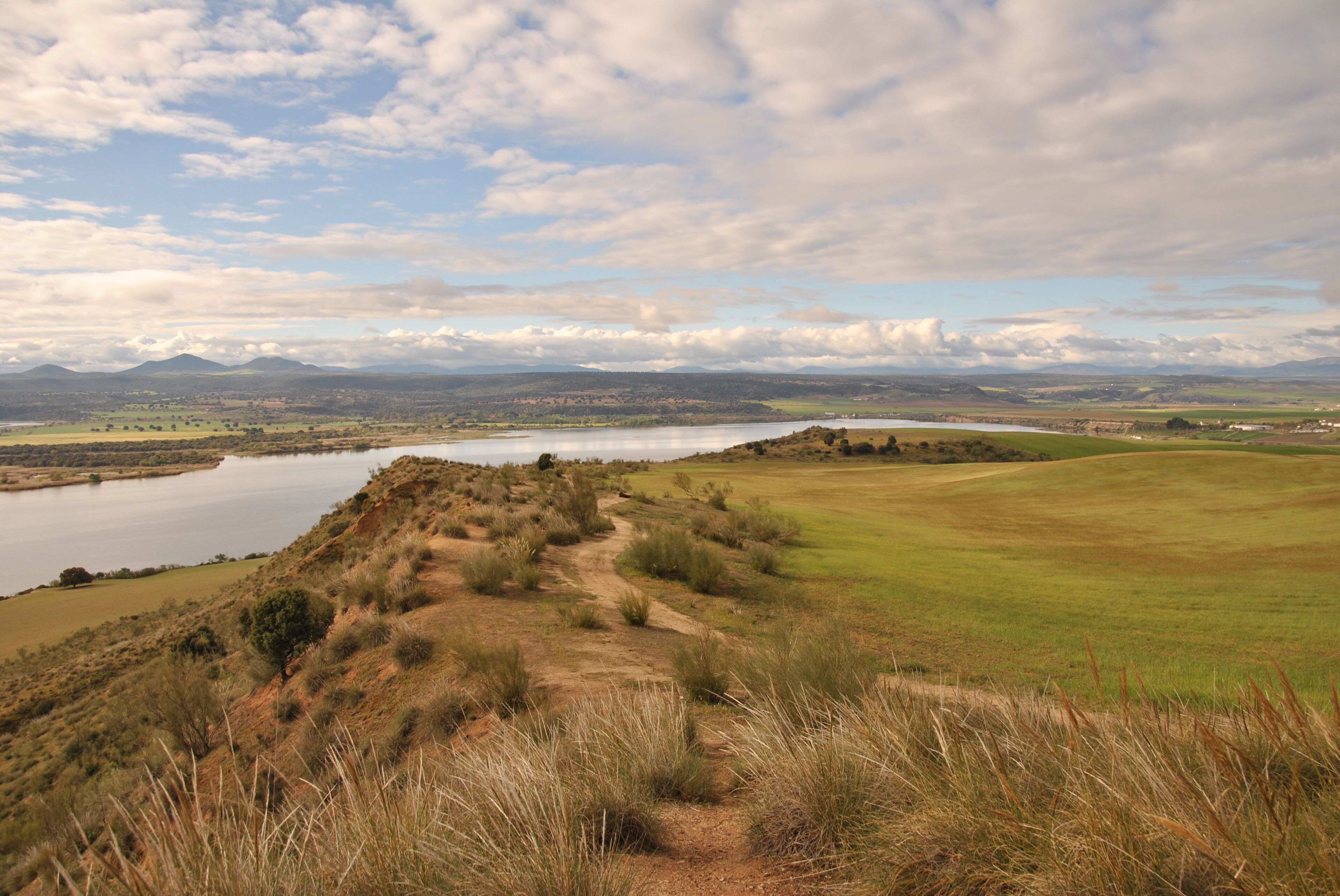 Embalse de Castrejón - Toledo - Spain
