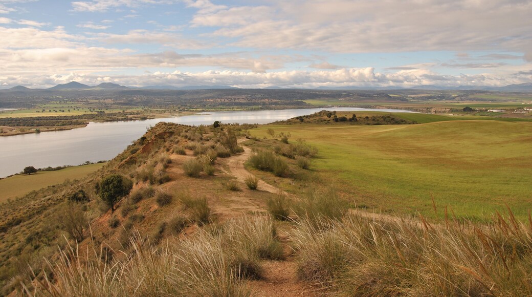 Embalse de Castrejón - Toledo - Spain