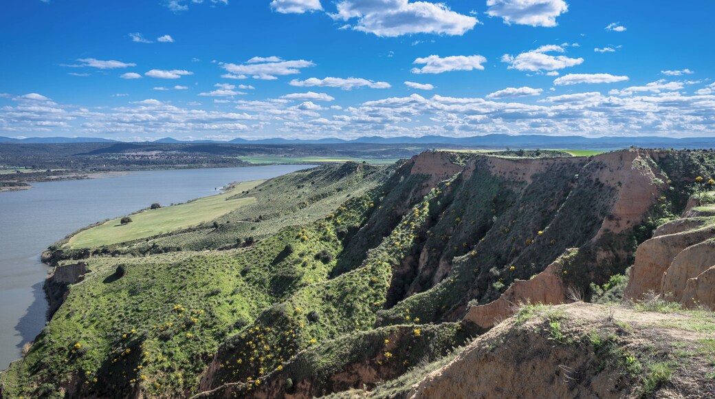 La Puebla de Montalbán
